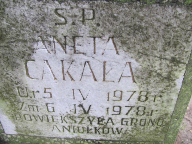 Aneta Cąkała 1978 Wolin - Grobonet - Wyszukiwarka osób pochowanych