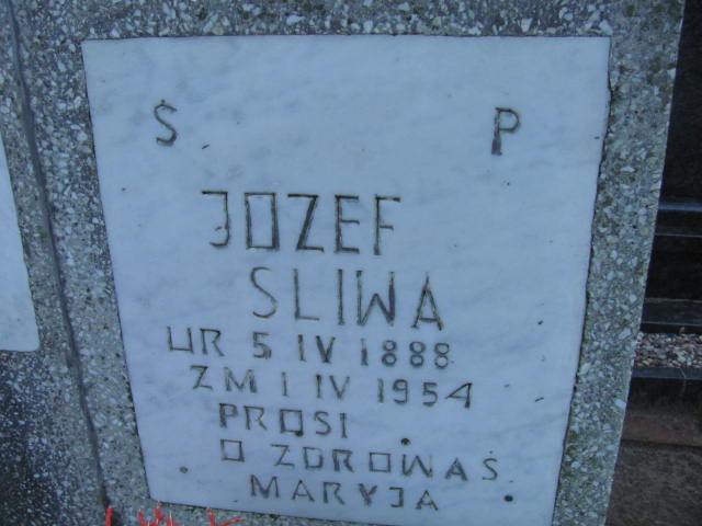 Józef Śliwa 1888 Wolin - Grobonet - Wyszukiwarka osób pochowanych