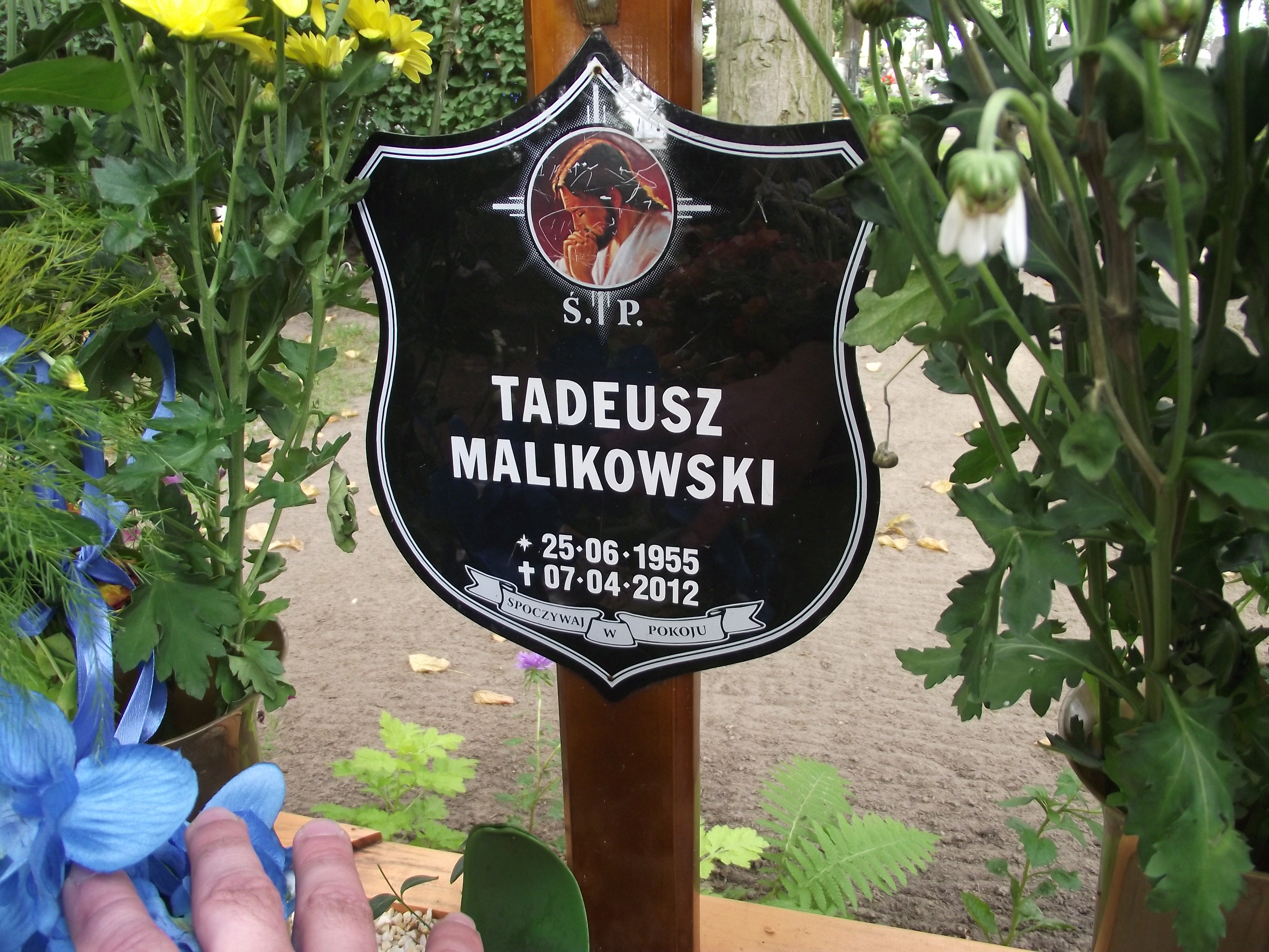 Tadeusz Malikowski 1955 Wolin - Grobonet - Wyszukiwarka osób pochowanych