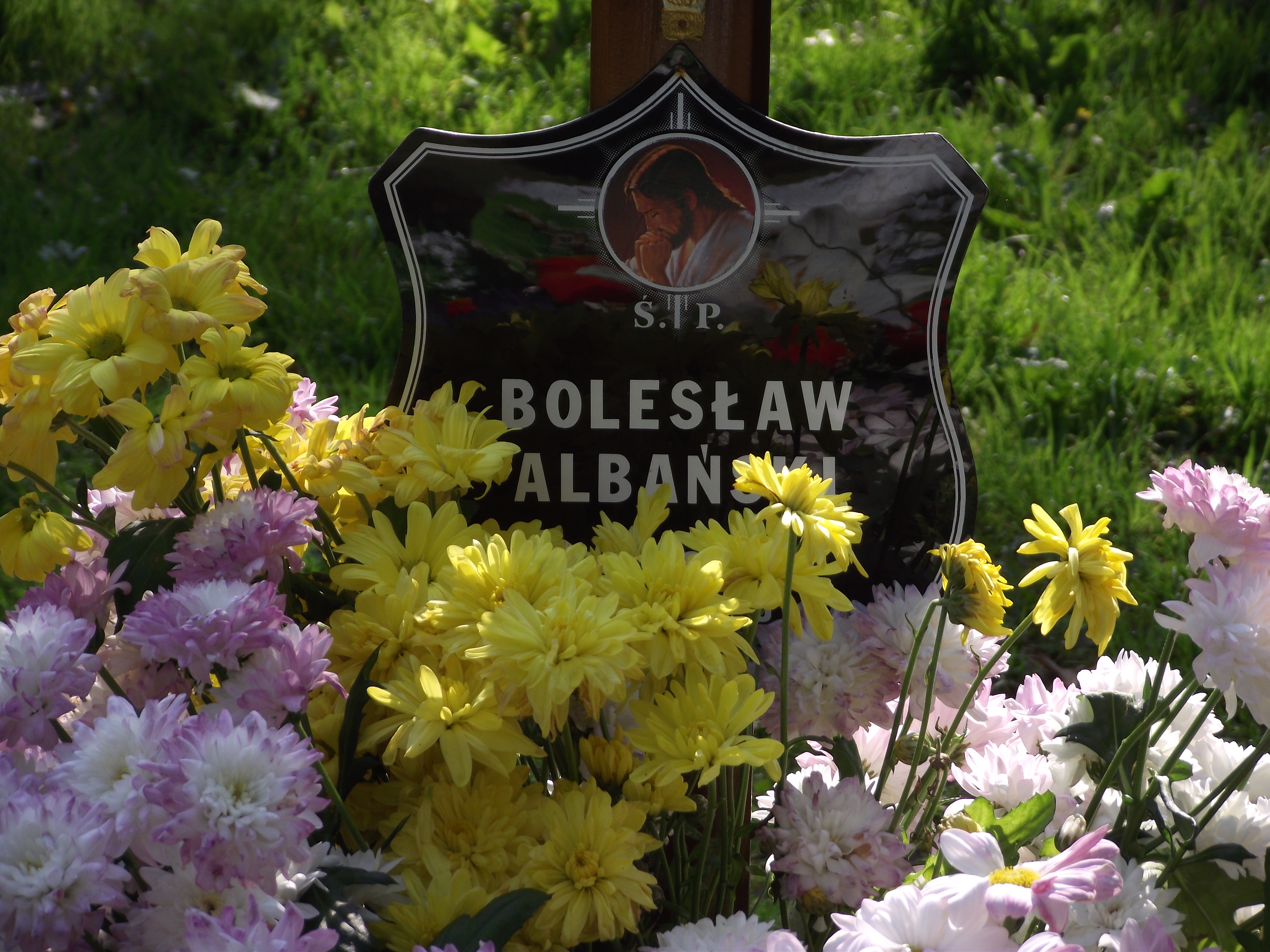 Grób Bolesław Albański