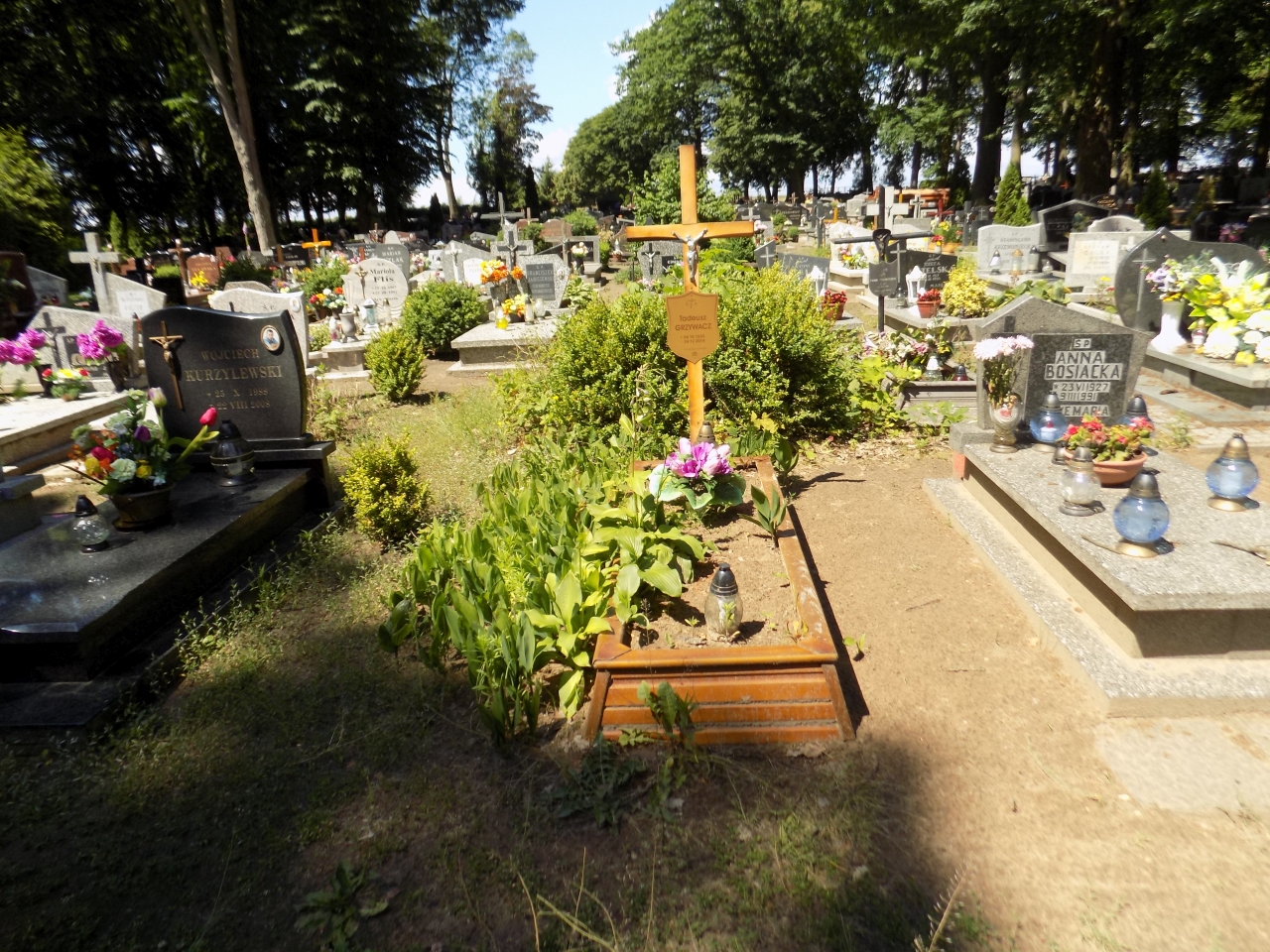 Tadeusz Grzywacz 1933 Wolin - Grobonet - Wyszukiwarka osób pochowanych