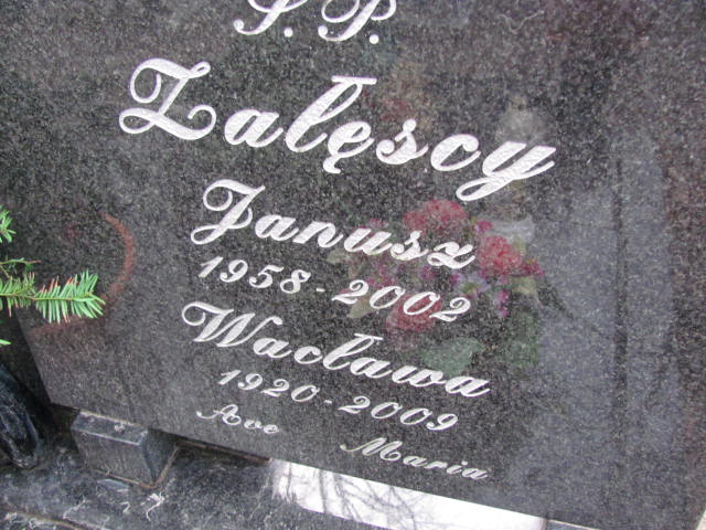 Wacława Załęska 1920 Wolin - Grobonet - Wyszukiwarka osób pochowanych