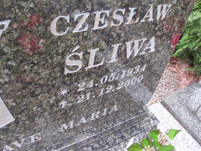 Czesław Śliwa 1934 Wolin - Grobonet - Wyszukiwarka osób pochowanych