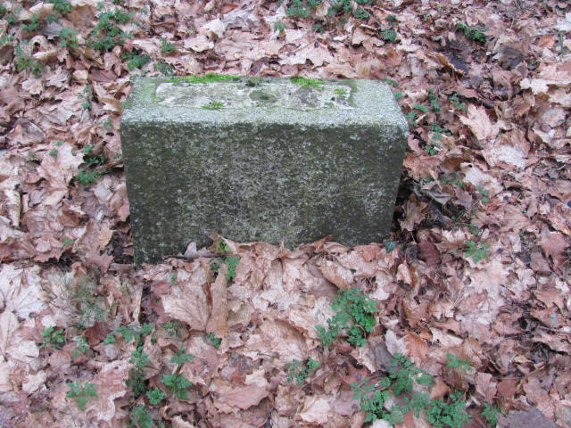 Augustyn Romanowski 1950 Wolin - Grobonet - Wyszukiwarka osób pochowanych